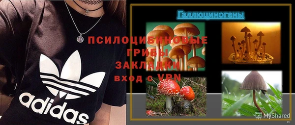 таблы Белокуриха