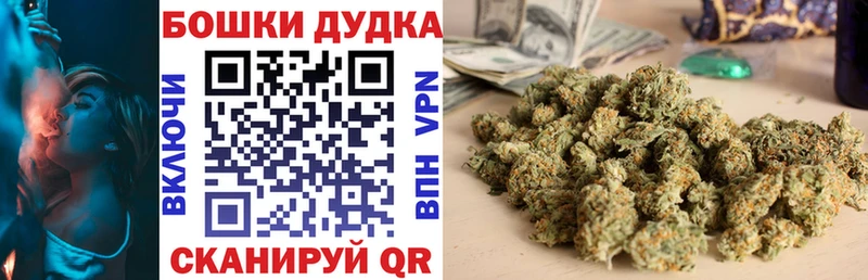 Бошки Шишки White Widow  OMG как войти  Будённовск  где купить наркотик 